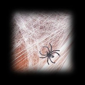 Haunted House Spider Web For Sale