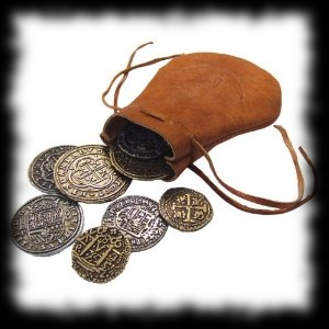 Pirate Halloween Costume Accessory Idea Pirate Coin and Pouch
