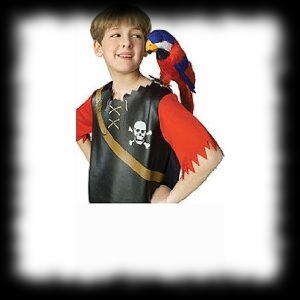 Pirate Parrot Feathered Bird for your shoulder Halloween Costume Accessory