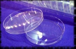 Alien Lab Petri Dishes For Halloween Party Decorations