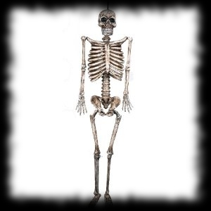 Full Sized Skeleton Halloween Party Idea Prop