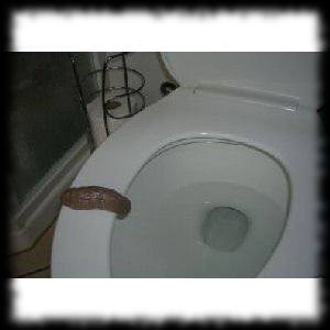 Halloween party prank idea fake poop on toilet seat for sale
