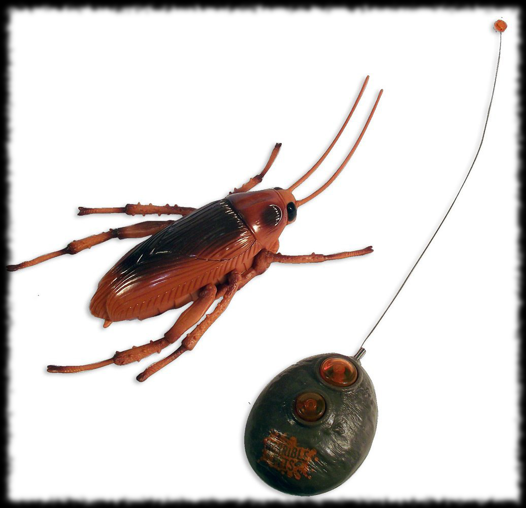Halloween Tricks Remote Controlled Cockroach for sale